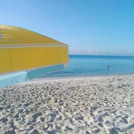 Depa De Lujo En El Corazon De La Riviera Maya Apartamento